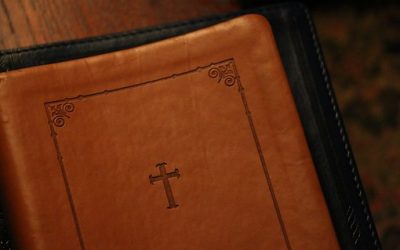 What Does the Bible Mean? Jesus Wants You to Know for Yourself